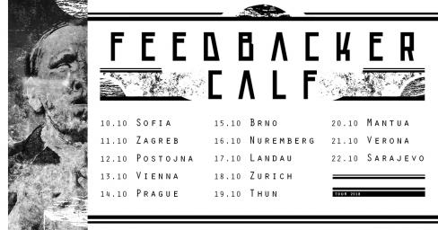 Feedbacker / Calf