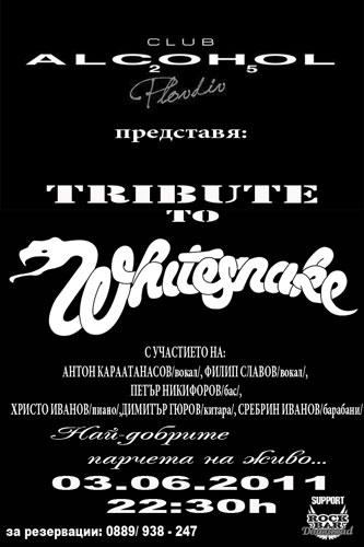Tribute to Whitesnake